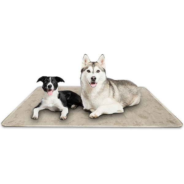 Abbie Home Paw Waterproof Soft Washable Lightweight Dog Blanket for Bed